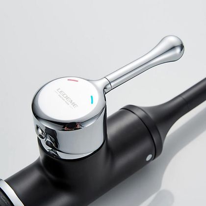 Смеситель для кухонной мойки Ledeme L4599-B