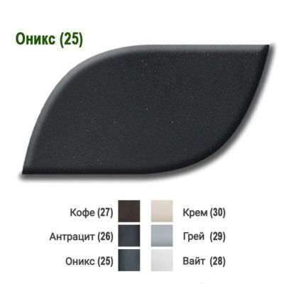 Кухонная мойка Wisent W600-25W