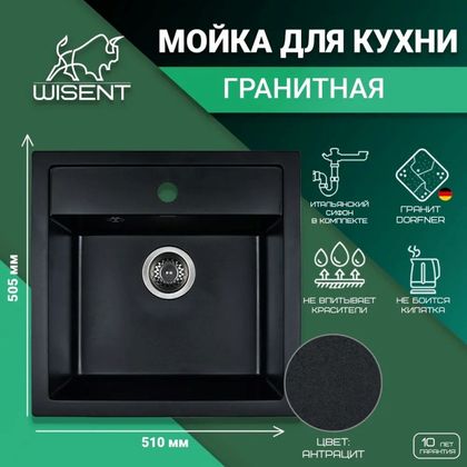 Мойка для кухни Wisent W510-26W